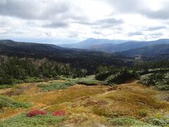 少し舗装路を歩き、八幡平山頂レストハウス前の展望台からの景色。岩手山は雲の中でした。