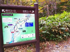 左　梓川コース
右　林間コース
今日は、左側を歩きます。