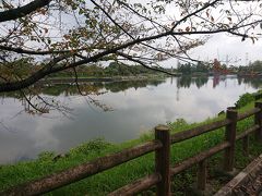  落合公園を右折します。しばらくは落合公園に沿って進みます。