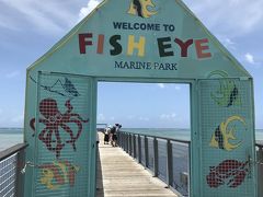 天気良くてよかった！
この日は日本で予約しておいた『フィッシュアイマリンパーク』へ行く日です。
HPから直接予約。
竜宮城スノーケリング＋展望塔＋ブュッフェランチのパックが一人＄４５＋往復送迎＄６。
6歳未満は無料。なので大人2人分計102ドル。
ヒルトンからは送迎車で20分くらい。
車に酔うのが速いウチの5歳児は走行15分でもうリバース寸前。。
このまま気持ち悪いままだと3人でシュノーケルは無理かー？
交代で子守りか？


