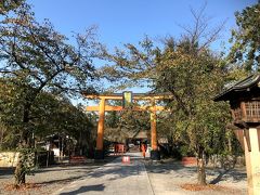 自宅を早く出て
今回行く建勲神社の途中にあります
大好きな平野神社に立ち寄りました。

台風21号がとても風が強い台風で
此方も被害があったことは聞いていました。