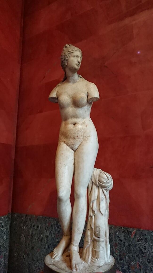 copyて書いてあるからほぼ素通りしてしまったのですが<br />複製＝最近作った劣化版のイメージに騙された<br />解説書にエルミタージュ古代彫刻コレクションの華とか書いてあるし<br /><br />ダヴリアのヴィーナス《ギリシア時代の作品の複製品》<br />前3世紀. 大理石<br />夏の庭園を本物の古代彫刻で彩ろうと考えたピョートル一世によってイタリアで購入された。発掘によって出土したこの彫刻の価値があまりに高かったため、イタリア当局がロシアに持ち出す許可を出すまで数年を要した。初めは予定通りの夏の庭園内の屋外の東屋に置かれたが、その後、ダヴリア《クリミア》公ポチョムキン邸に移った。ダヴリアのヴィーナスと呼ばれるのはそのため。（土産本）