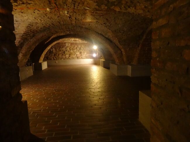 逆走したようでまずワインセラーがありました。<br /><br />巨大な柱と低いレンガのアーチは、ピョートル大帝冬の宮殿セラーの生き残った部分です。18世紀後半に劇場が建設された時、このスペースは建設廃棄物で一杯でした。 それが取り除かれると、エルミタージュの建築家達はオランダとロシアのタイルを見つけ、粘土ランプ、オランダの粘土パイプ、壊れたガラスと陶器、18世紀の未開封のワイン瓶さえも発見され展示されています。壮大な中庭に面したセラーの南壁には、鍛鉄製グリル付きの2つの狭い水平の窓が開けられていました。