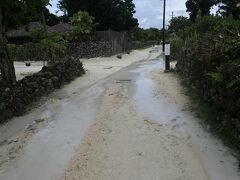 13:15  シュノーケリングから一旦ホテルに戻りましたが、戻った後、再度大雨が降りました。止んだようなので昼食を兼ねて、集落に自転車で向かいました。道はかなりの水たまりが出来ていて、すごく走り辛かった。