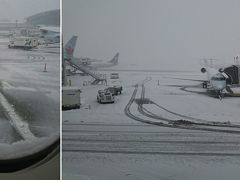 カルガリー着。
直前のアナウンスで気温がー2度、雪！

イミグレのトランジットのラインは空いていてすすっと通れました。
案内も親切。