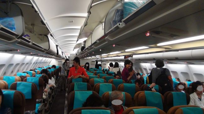 エコノミークラスでもエアバス330がお勧めです。<br />この機材はほとんどの場合2-4-2しかありませんが、777だと1列増やして3-4-3にしてたり（いつも乗っている航空会社がそうです）、787ですら1列増やして3-3-3にしてたり（やはり同じ航空会社）だと、そりゃあキツイです。