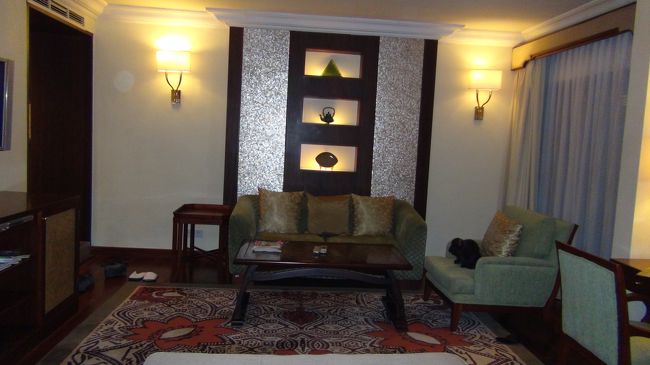 部屋の広さはジュニアスイートくらいです。