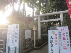 動物公園の隅にあった天照皇大神
この丘の上には神社やお寺がいっぱいありました｡