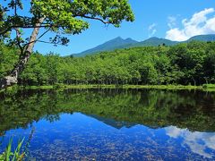 遊歩道に入り最初にあるのが五湖です。ロングコースでは、五湖から一湖へ逆の順番に進むことになります。
ご覧の五湖は一番小さな湖ですが、湖の中に水草が多く、オタマジャクシやヤゴなどを多く見かけました。
しかし、青空の下、湖に映る新緑の知床連山が絶景です。