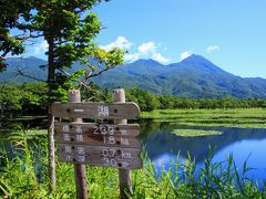 最後に一湖。こちらは高架木道の下からの写真ですが、この少し先には高架木道に接続しており、そこからは遊歩道へ戻ることはできません。