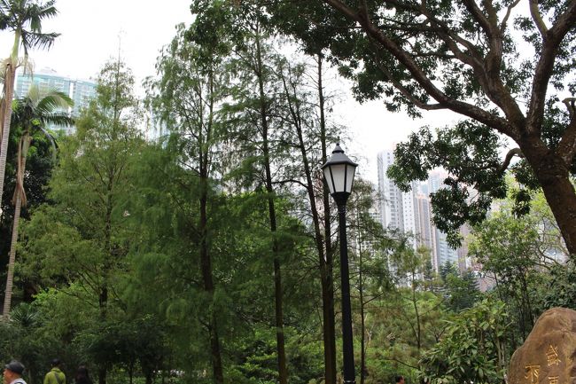 広いんだけど...💦