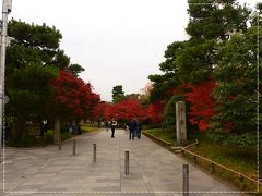 平等院到着。
天気がイマイチなのがとにかく残念。。。