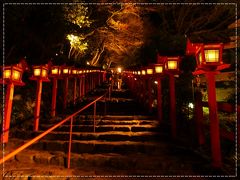 ぐるっと回ってお夕飯に湯葉の餡かけうどんをいただいて帰ってくると、すっかり暗くなっていました。