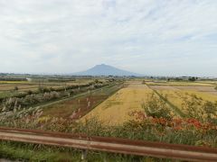 　10月初旬です。稲刈りをボチボチ始めた所でした。中央に見える独立峰の山は津軽富士と言われる「岩木山」です。