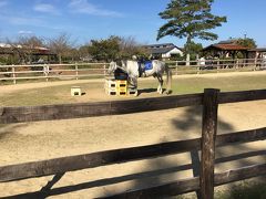 小学生以下なら乗馬も可能