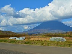 中山峠であげいも休憩をとったあとは
ホクホク美味しいじゃがいもが有名な
真狩村（まっかりむら）へ。

トマムですばらしい雲海が見れたという
雲運に恵まれた私たちなので、
えぞ富士と呼ばれる羊蹄山の山頂には
これでもかー、というくらい
とびきり厚い雲がかかってました～ ('ω')