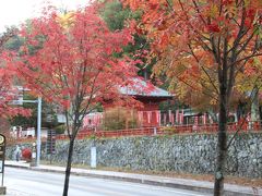 中禅寺の方へ行ってみよう。