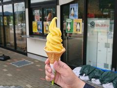 長篠設楽原PAで休憩
三ケ日みかんソフト
ソフトというよりシャーベットに近かった