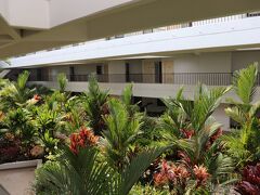 ホテルの部屋の前。吹き抜けになっていて、
亜熱帯の植物が、イキイキと。