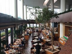 おはようございます。２日目の朝です。
長男がビュッフェ好きなので、「ハーバーサイド」に来ました。
１階でエレベーターを降りて、階段で下に降ります。