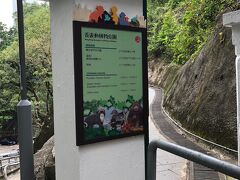ホテルから尖沙咀まで歩いて、地下鉄で中環まできました。
中環から徒歩で１５分ほどに香港動植物園があります。駅から→がたくさんあるので迷うことなく行くことができるのですが、ものすごい「坂道」で着いた時にはヘロヘロでした。