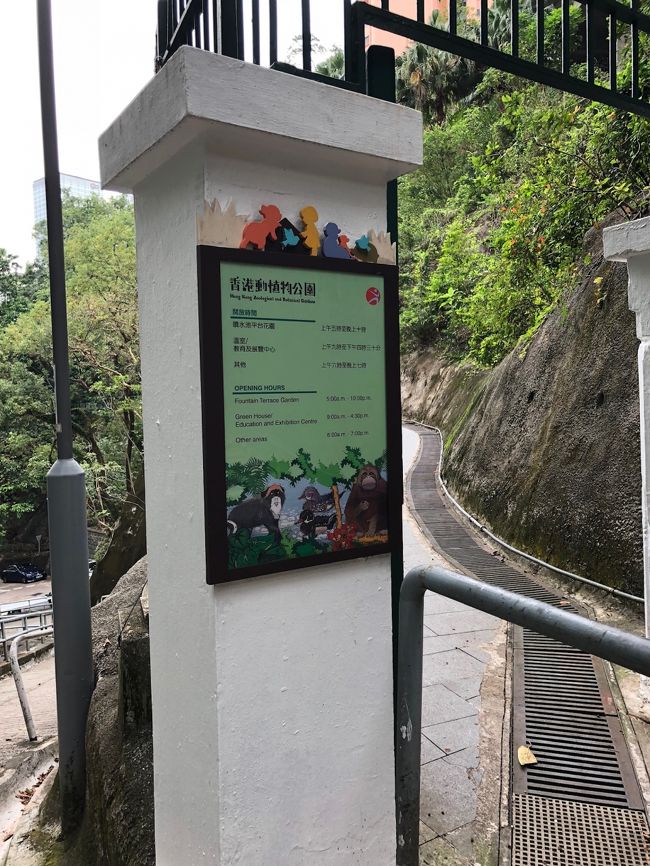 ホテルから尖沙咀まで歩いて、地下鉄で中環まできました。<br />中環から徒歩で１５分ほどに香港動植物園があります。駅から→がたくさんあるので迷うことなく行くことができるのですが、ものすごい「坂道」で着いた時にはヘロヘロでした。
