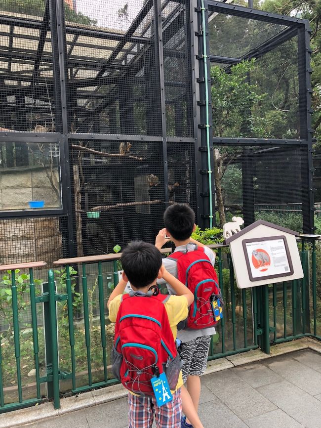 めっちゃ写真を撮りまくりです。