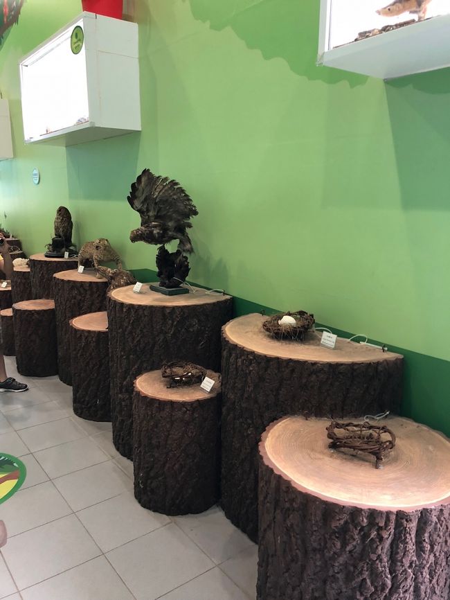 剥製と小さなキッズスペースがあるだけです。