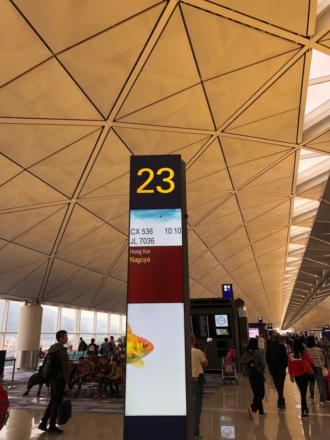 ディズニーストアで姪たちへのお土産や自分たちのお土産を買いました。<br />（ディズニーランドへは全然行ってないけど・・・）<br /><br />前回の香港旅行の時はサテライトでひたすら遠かったのですが、今回は手前の搭乗口でした。よかった～♪