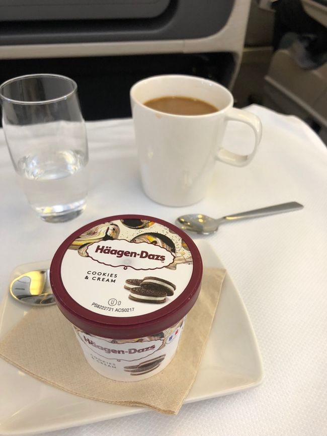 〆はアイスクリーム。この後、激しい揺れがありコーヒーがかなりこぼれてしまい、真っ白のランチョンマットが茶色になってしまっていました…