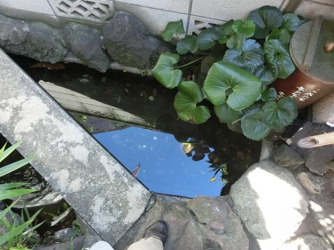 この水たまりで洗うようです。