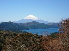 天閣台からの富士山と芦ノ湖