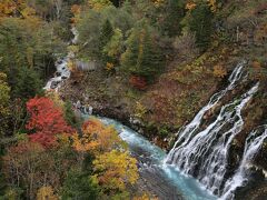 白ひげの滝

滝・川・紅葉が織りなす景色最高です。