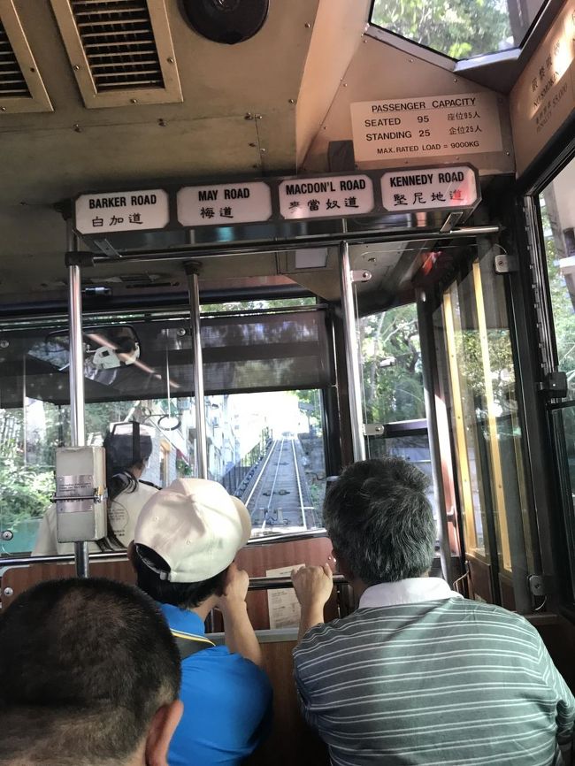 急角度のトラム楽しい。