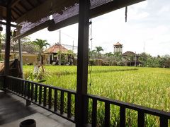 上海の疲れのせいか、昨日の湿ったベッドのせいか、体調が悪くなっていたのでお昼は日本食に連れて行ってくれました。影武者という、田んぼが見渡せるオープンテラスの素敵レストランなのですが・・・湿気を含んだ風が、さわさわサワサワ顔に当たって、不快で叫び出したい程でした。
この時の写真が無かったので、翌年（2011年）影武者に行った時に撮った写真を貼っておきます。