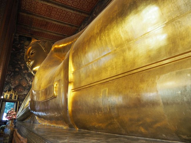 頑張って全体を撮りたいｗ