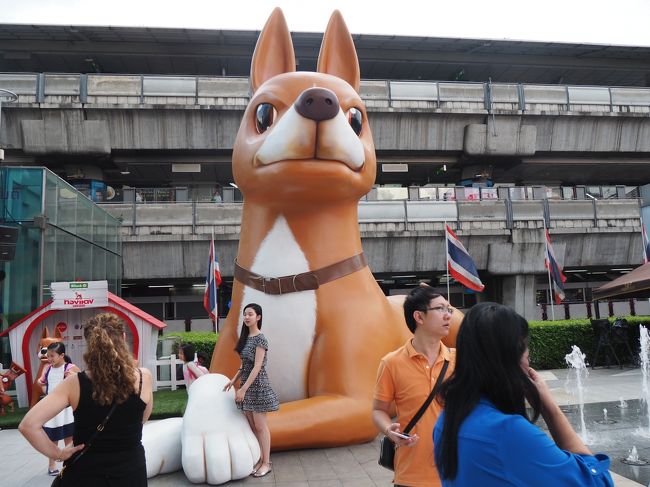 サイアムに戻ってきました<br />サイアムパラゴンの前の広場では犬の大きいオブジェが。<br />何かの映画だったかな