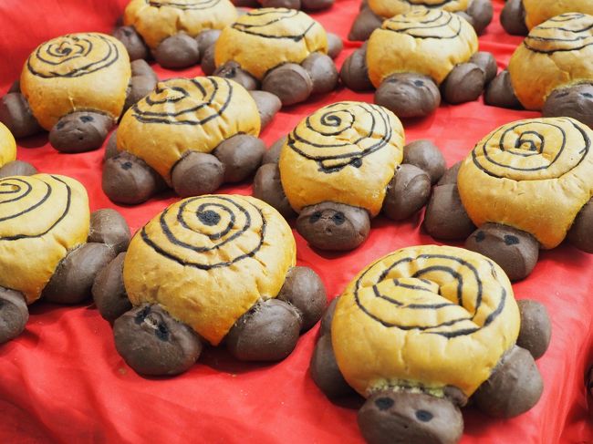 こちらはカメ・・かな。