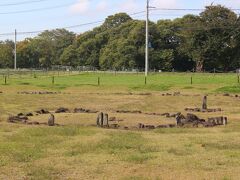 東北道を降りて、国道で十和田方面へ。
途中「大湯環状列石」の標識があったので、寄り道。

縄文時代の「ストーン・サークル」とのことですが、実際見てみれば「何？これ？」
野中堂環状列石です。