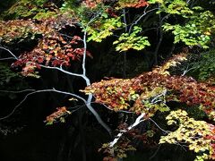 下山後は、ペンション銀河にチェックイン。
ここのご主人は英語は全くだめで、風呂の入り方から説明してもケンカになってしまうから外国人は泊めないと言う考えらしかった。それで、ネットで予約したのかと怪訝な顔をされたわけが判明。
　
夕食後、シャトルバスが出て、紅葉谷が幻想的にライトアップされるのを見に行けると聞き、女性３人で出かけました。
