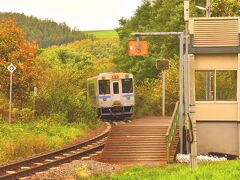 JR富良野線の北美瑛駅にやって来ました
“秘境駅”として知る人ぞ知るとても有名な駅でもあるんですよねえ
駅の周辺に広がる、美瑛の丘陵に色付く素敵な紅葉風景と相成って、噂通りのとってもインスタ映えする素敵な秘境風景でありました！