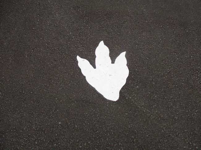 こ、これは・・・恐竜の足跡？