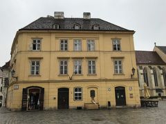 薬局博物館でみれるのは
15世紀～17世紀の薬学者たちの遺品や
ウィーンの古い磁器などだそうです。