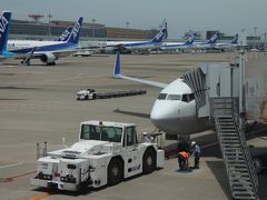 羽田空港第2ターミナル68番搭乗口。通常、北への便は北側のスポットを使用するが、この便は米子を往復してきたためこちらのゲートを使用。
搭乗開始は10：30分過ぎから。
搭乗機はB737-800、JA85AN、東北フラワージェット。
今回はプレミアムクラスを利用するが、利用者は私一人のみ、貸切でした。
普通席も空いていて半分程度、流氷観光のシーズンでもなければこの程度なのかも・・・