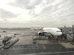 羽田空港では、ラウンジに寄らず 直接ゲートへ。
当日のアップグレードを申し込むためです。

『修行あるある』ですが、修行目的で乗る場合、FOP獲得には、ファーストクラスに乗るのが効率が良いのです。でも、Fクラスは、那覇、福岡、伊丹、新千歳便しか飛んでない上に本数が少ない。その上、すぐ売れてしまう。私も地味に狙ってましたが、全く予約が取れない。（正しくは、朝一番なら取れなくは無いが、電車の始発が間に合わない)

修行なんて考えもしなかった頃は、Fクラスどころか、Jクラス(ビジネス)も眼中には無かったです。その私が敢えて那覇行き JL905便の Jクラスを予約したのは、当日の Fへのアップグレードを狙ってのこと。ただ、それも上級会員から優先になるので、ほぼほぼ私には落ちてこない席だと、この日改めて実感しました(苦笑)。
でも、良いのです！（なんくるないサー♪）
何事も経験してみたくてやっているのですから。

Fクラスが売れるのは、きっと修行していらっしゃる方ねw (JAL勤務の高校同級生も、上級座席から直ぐに売れると言ってました）

