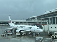 【 JTA607 】B737-800

JTAに乗るのは初めてです。
機体の横には ”空手発祥の地 沖縄”って書かれてました。