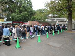 日を改めて上野動物園を訪れました。
パンダ舎は50分待ちでした。
ほかの動物はゆっくり見学できました。