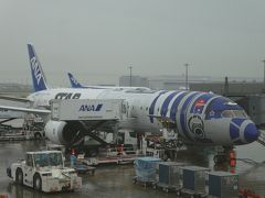 日本に到着。
旅行中は晴天に恵まれた反動か、東京は雨が降っていました。