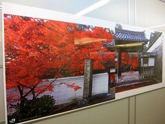 行幸地下ギャラリーでは、ＪＲ東海の「そうだ京都、行こう。」25周年のポスター展が開催されていました。