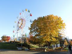 せっかくなので公園内にある「おびひろ動物園」に入ってみる。